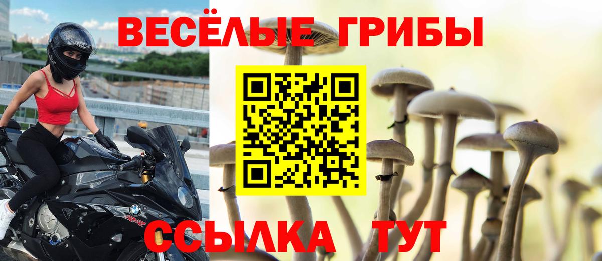 Псилоцибиновые грибы GOLDEN TEACHER Нарткала