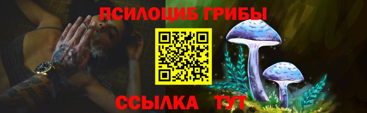 Галлюциногенные грибы прущие грибы  Вход с VPN  магазин продажи наркотиков  Нарткала  Псилоцибиновые грибы мицелий 